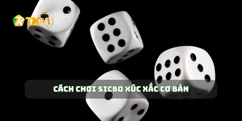 Cách Chơi Sicbo Xúc Xắc Bí Quyết Thắng Lớn Mỗi Lần Chơi 1 Cách chơi sicbo xúc xắc cơ bản