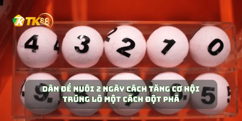 Dàn Đề Nuôi 2 Ngày Cách Tăng Cơ Hội Trúng Lô Một Cách Đột Phá